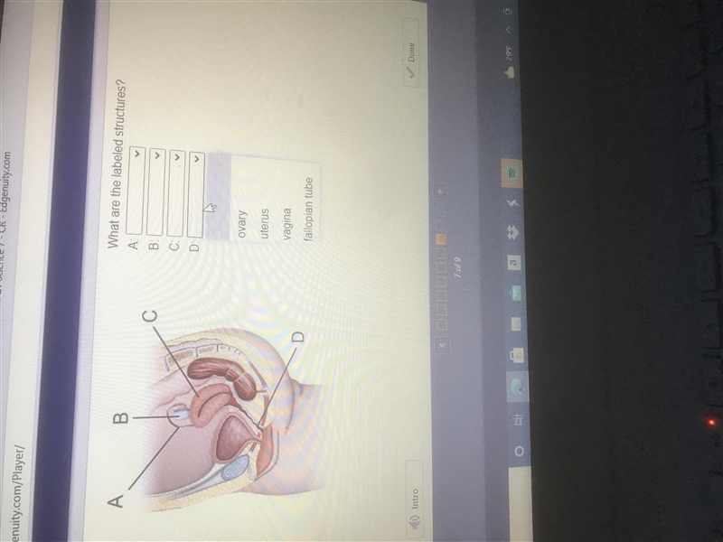 What are the labeled structures-example-1