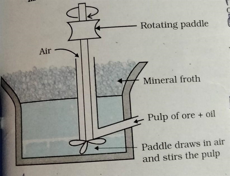 Explain this method (Froth floatation method)..........​-example-1