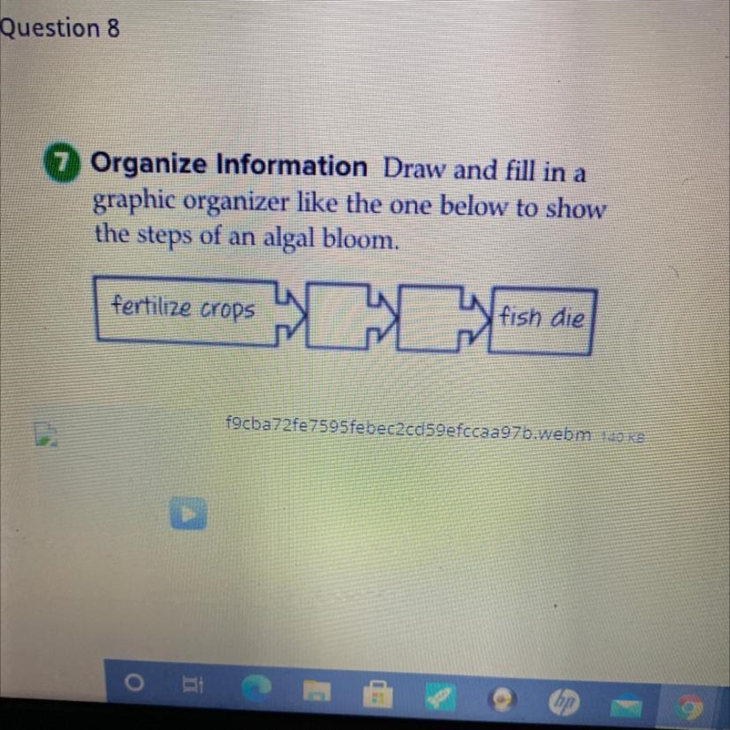 Does anyone know the answer I need help-example-1