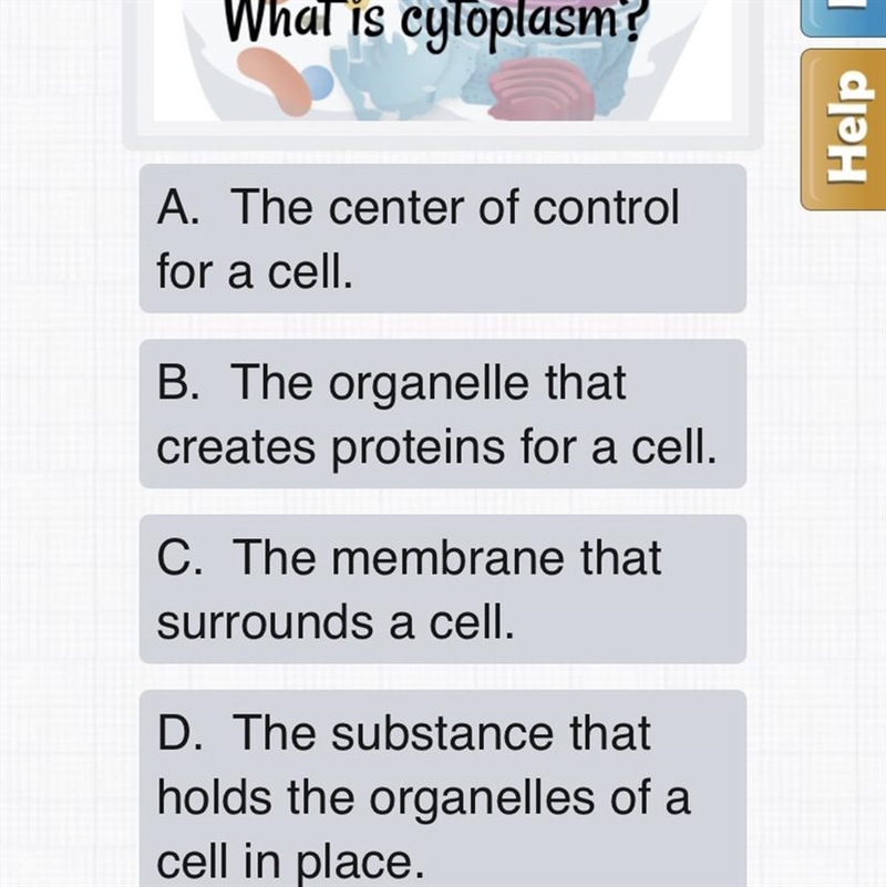 What is cylopasm? A. The center of control for a cell. B. The organelle that create-example-1