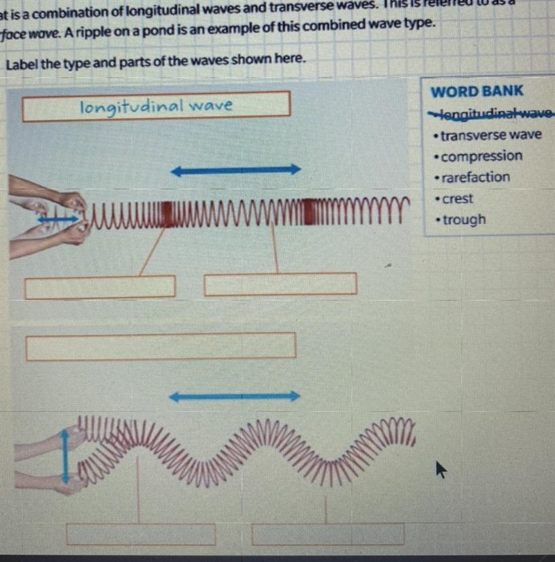 8. Label the type and parts of the waves shown here. longitudinal wave WORD BANK engitudinal-example-1