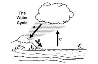 When the water vapor rises into the atmosphere (Arrow C), it starts to cool and transform-example-1