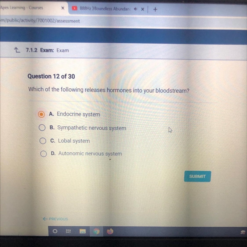 Which of the following releases hormones into your bloodstream? A. Endocrine system-example-1