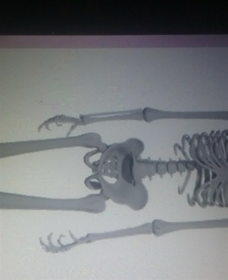 Identify the organ system pictured below and state two functions of this system in-example-1