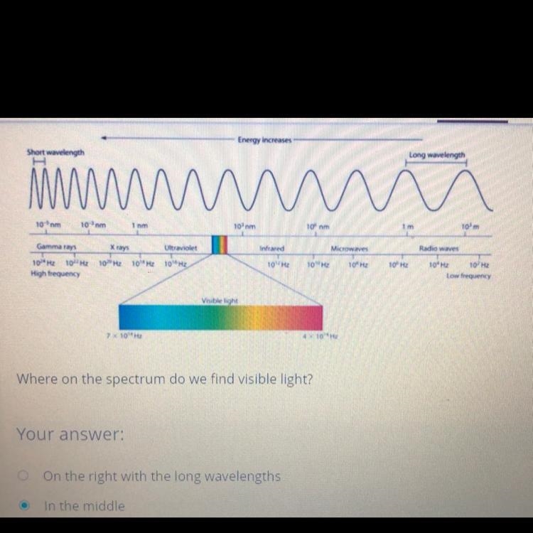 A. on the right with the long wavelengths b. in the middle c. on the left with the-example-1