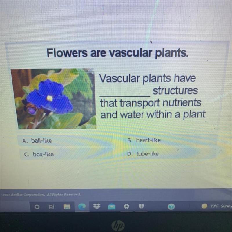 Flowers are vascular plants. Vascular plants have structures that transport nutrients-example-1