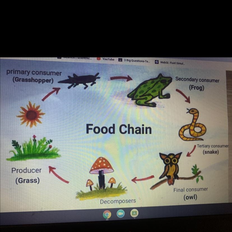 How might the population of owls be affected if the population of grasshoppers were-example-1