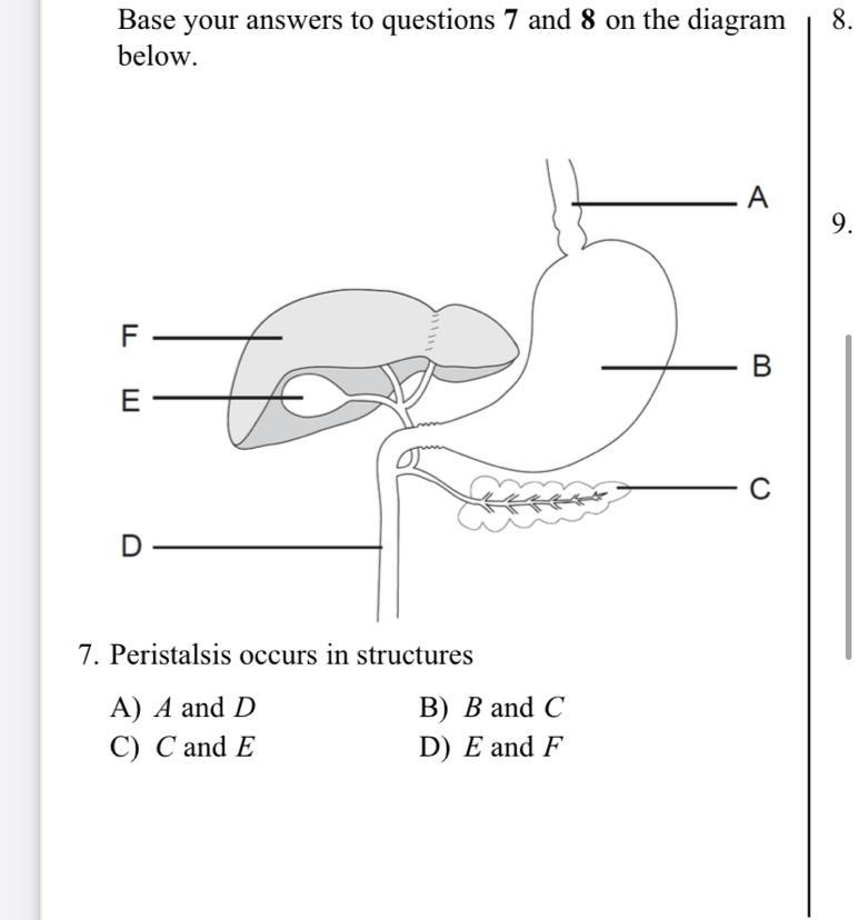 Can someone help me with this-example-1