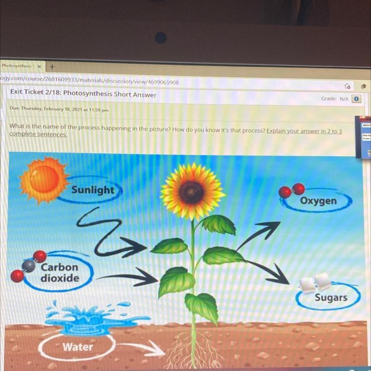 What is the name of the process happening in the picture? How do you know it’s that-example-1