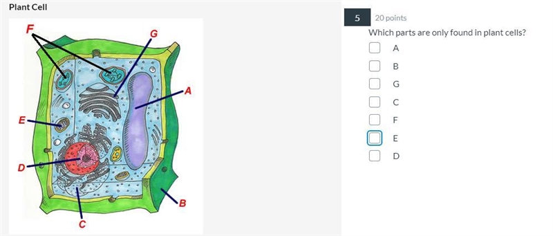 30 POINTS! Which parts are only found in plant cells?-example-1