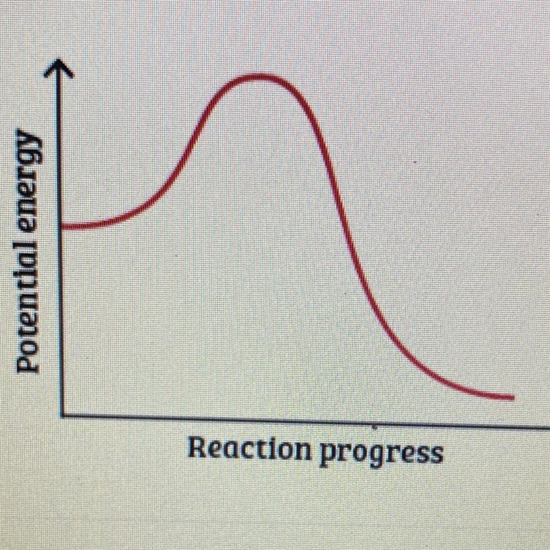 Which type of reaction is represented by this graph? Potential energy Reaction progress-example-1