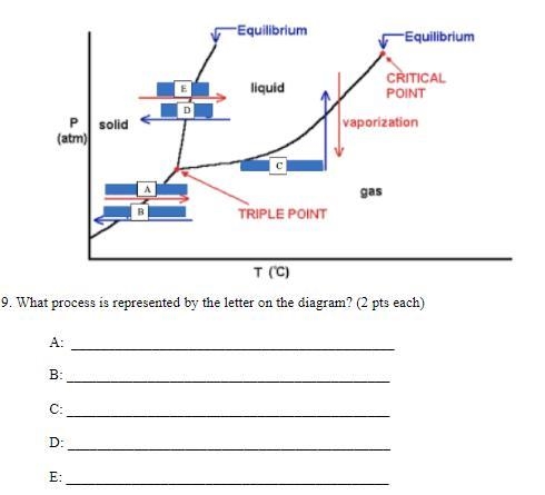 What process is represented by the letter on the diagram? A: ____________________________________________ B-example-1