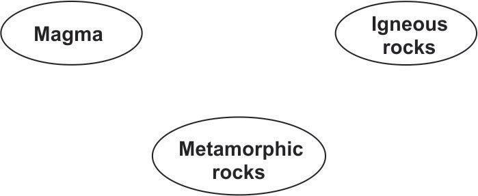 One student made the incomplete diagram shown below to represent the relationship-example-1