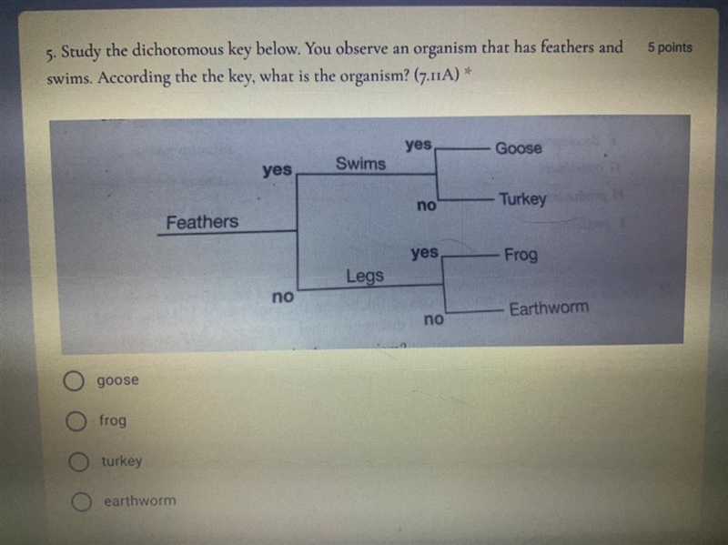 1. Goose 2.frog 3. Turkey 4.earthworm-example-1