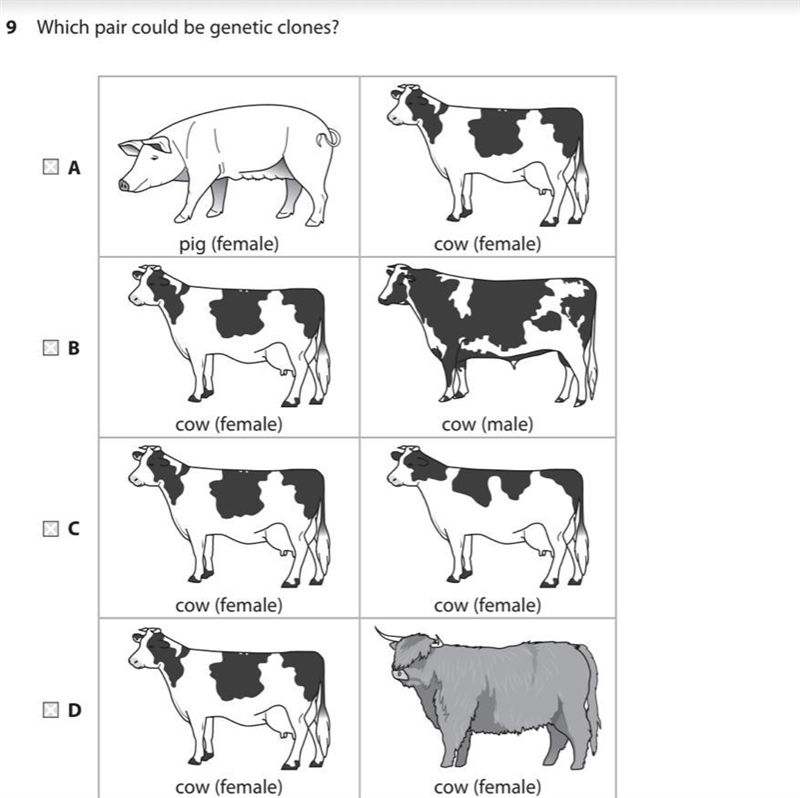 Which pair could be genetic clones? look at the photo-example-1