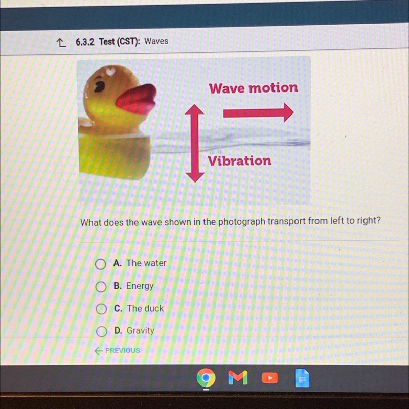 Wave motion Vibration What does the wave shown in the photograph transport from left-example-1