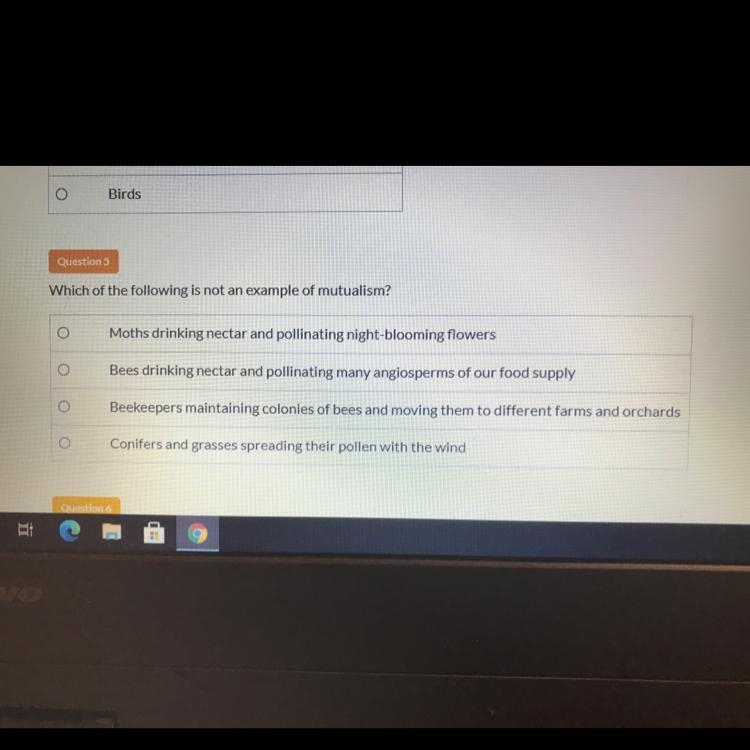 Question 5 Which of the following is not an example of mutualism?-example-1