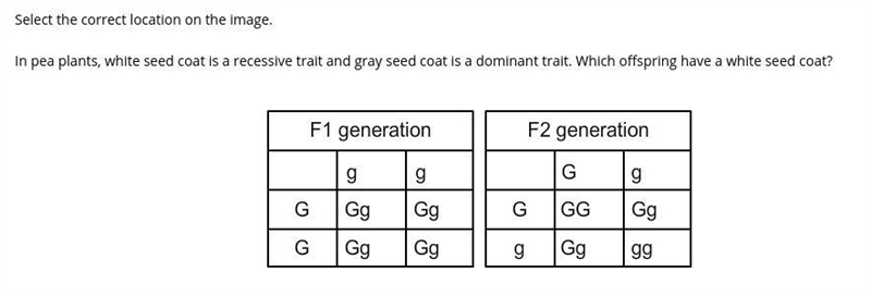 Select the correct location on the image. In pea plants, white seed coat is a recessive-example-1