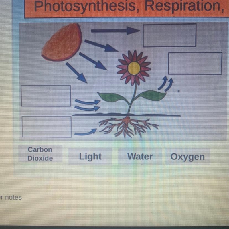 Can someone plz help me with this one problem plz!!!!-example-1