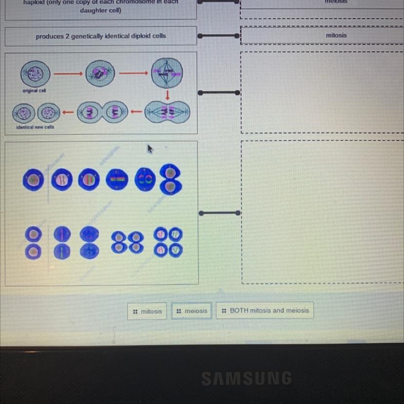 I need the answers to these quick!!-example-1