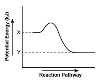 A student made a sketch of a potential energy diagram to represent an endothermic-example-1