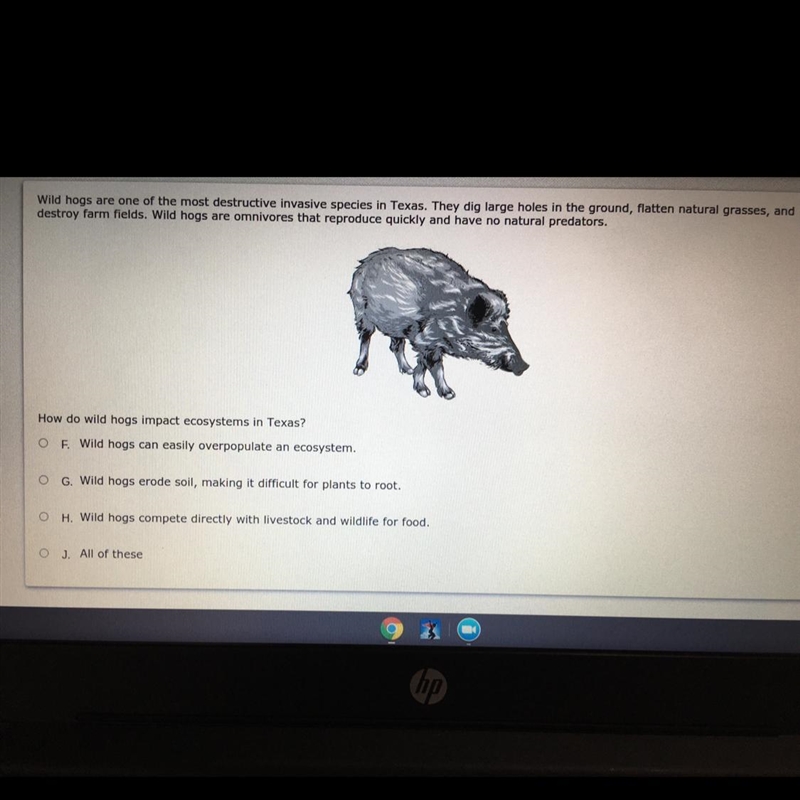 I need help with this question. Thank you!-example-1