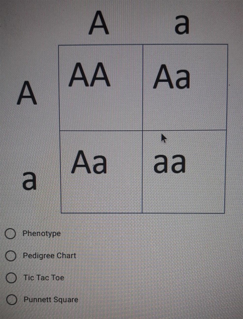 This image shows a...​-example-1