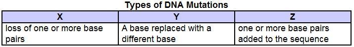 What kind of mutations would X, Y, and Z represent?-example-1