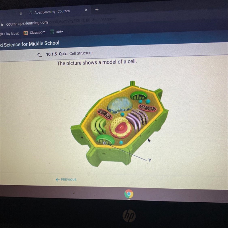 What is the main function of the part labeled Yin the model?-example-1