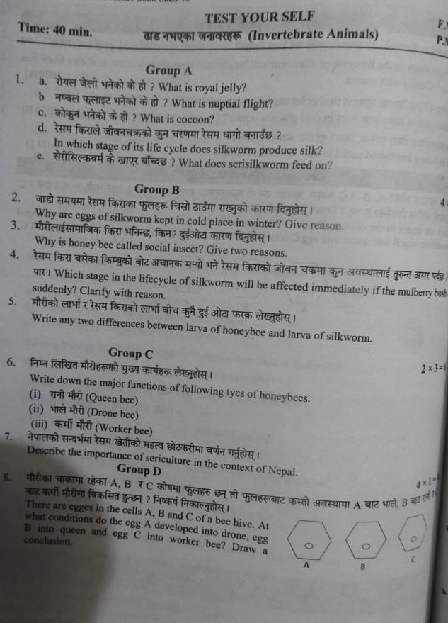 Help me guys please I need answer immediately​-example-1