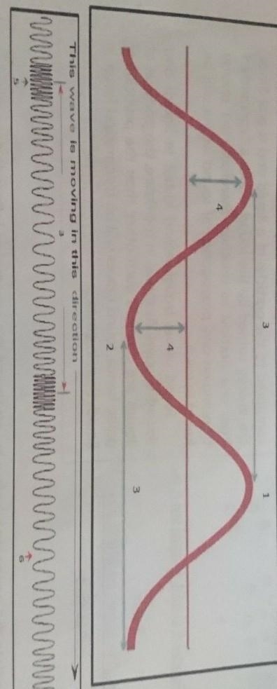 Identify the parts of a wave using the illustration and the function below. ​-example-1