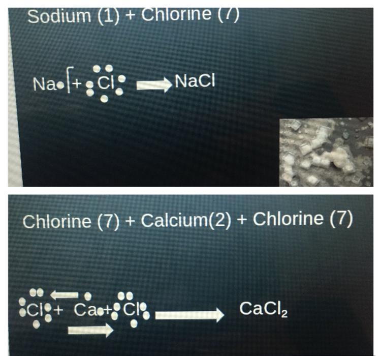 Can someone help me with this questions. What do these two photos have in common?-example-1