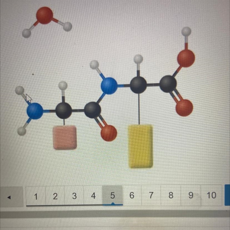 The diagram shows the basis for forming which of the following? O nucleic acids O-example-1