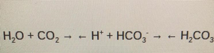 Is the reaction shown, relating carbon dioxide and pH, a reversible process?-example-1