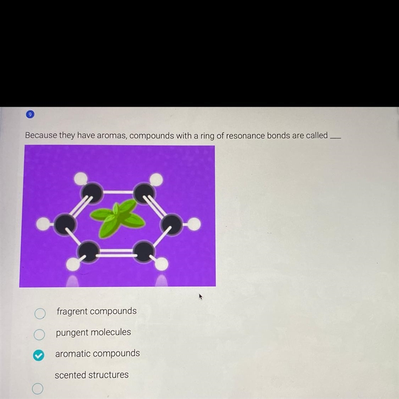 Because they have aromas, compounds with a ring of resonance bonds are called – A-example-1