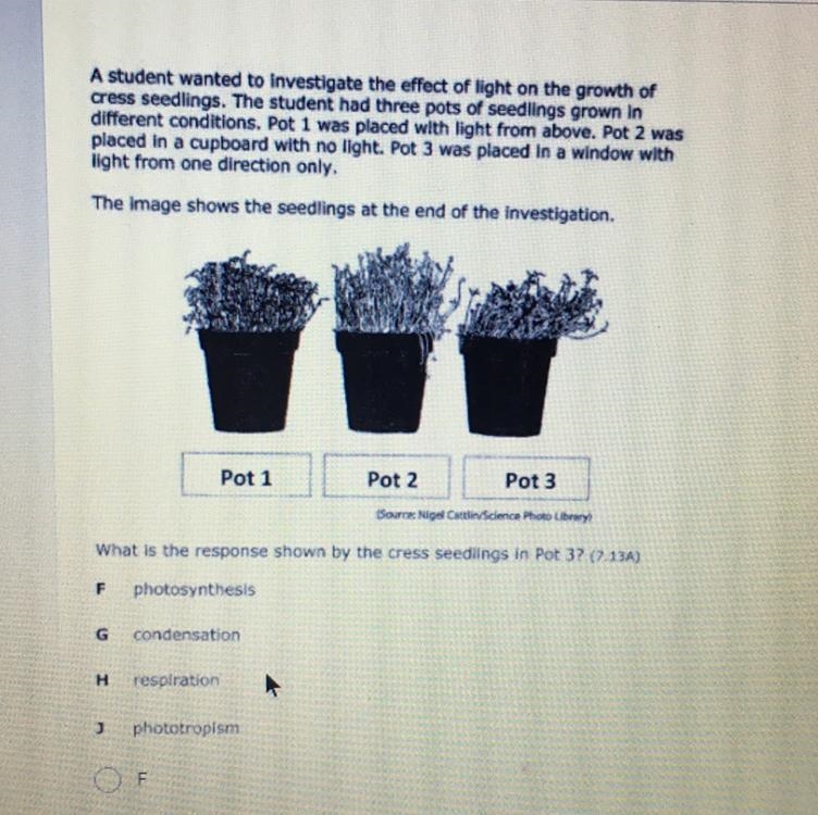 A student wanted to investigate the effect of light on the growth of cress seedlings-example-1