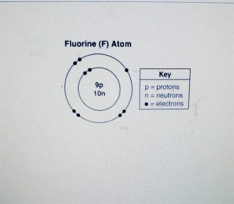 The model represents a fluorine (F) atom what is the mass of the atom​-example-1