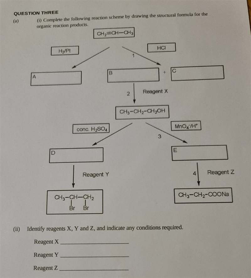 Please help me with this question as it's really important ​-example-1