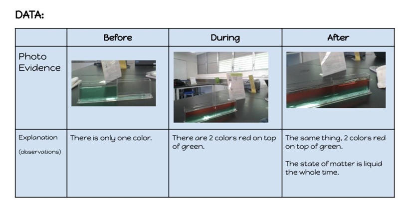 Help me Look at the pictures!!!! Past due! Make an explanation of how my hypothesis-example-3