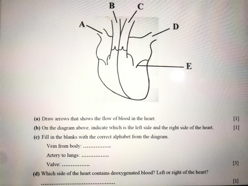 Can someone help me with this?-example-1