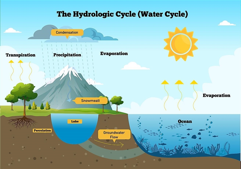 Water is continuously changing state and moving from place to place in the water cycle-example-1