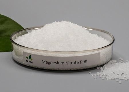 Chemical formula of magnesium nitrate​-example-1