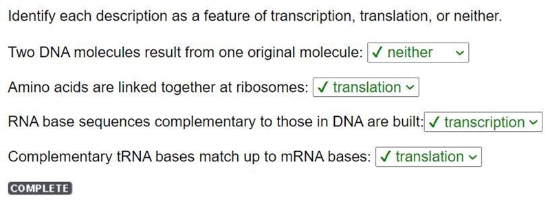 Identify each description as a feature of transcription, translation, or neither. Two-example-1