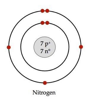 Dibuja un átomo de nitrógeno con 7 protones 7 neutrones y electrones ?-example-1