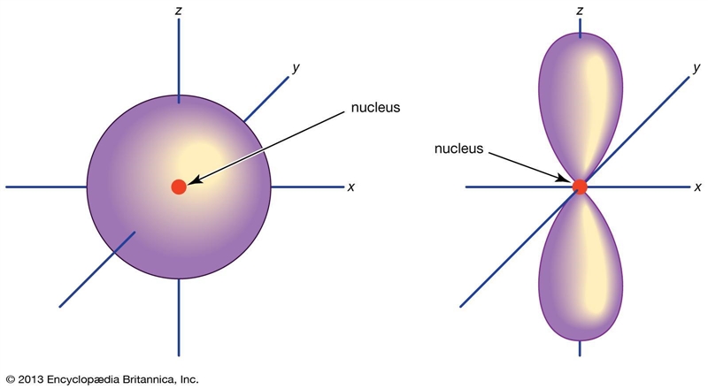 Write the shape of s and p-orbials. ​-example-1