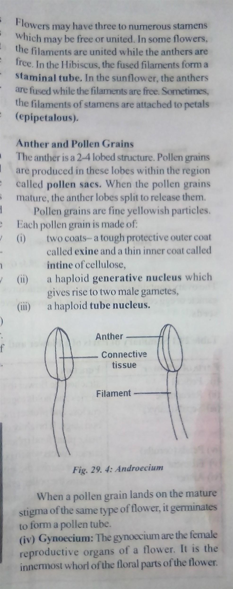 4 main parts of a flower Include the function of each pls help me-example-3