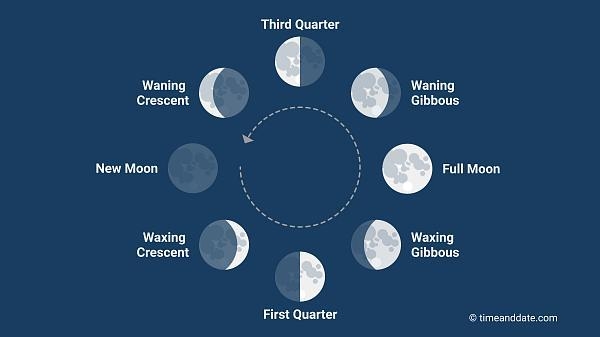 1.Beginning with the new moon, place the phases of the moon in order. Identify each-example-1