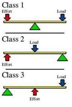 A nut cracker is second lever. Give reason.​-example-1