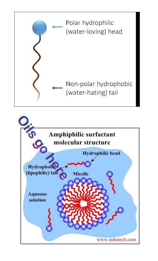 Describes two uses of surfactants at least one must be something that was not described-example-1