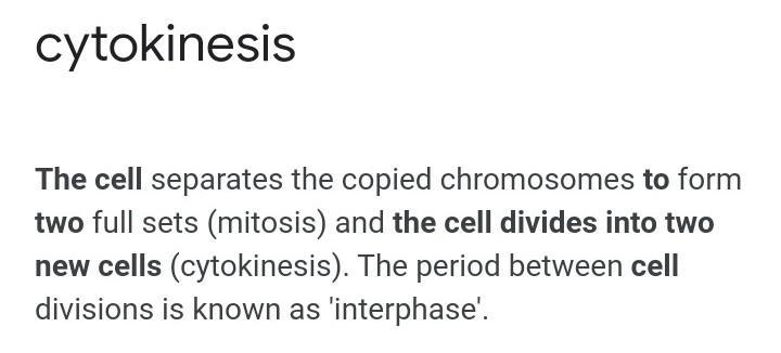 This cell is dividing into two cells.-example-1